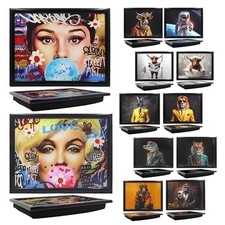 Lap Tray Cushion Bean Bag