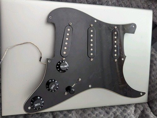 Bloodstone stratocaster - bloodstone,