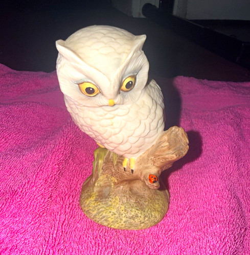 Aynsley baby owl - aynsley,