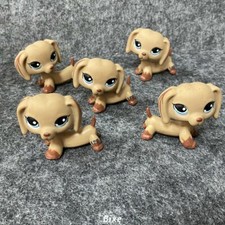 Pack 5pc Little Pet Shop LPS Dachshund Brown Puppy Teardrop Blue Eyes Dog Animal