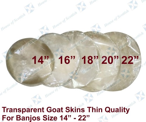 Goat skin transparent - goat,