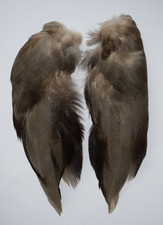 Select Complete set of Bronze