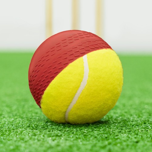 Fortress cricket swing ball - cricket,