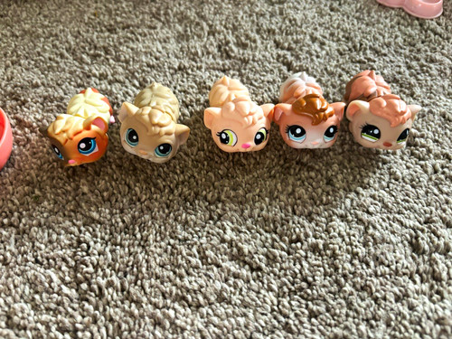 Littlest pet shop guinea - littlest,