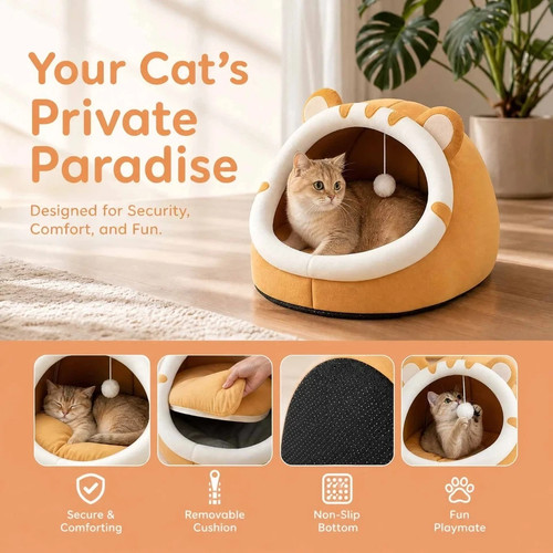 Pet cute cat warm - pet, house
