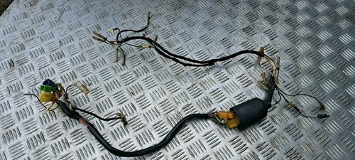 Suzuki 100 wiring loom - 100,