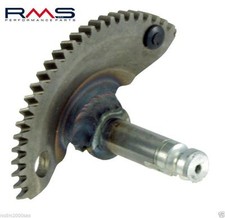 Engine starting sector PIAGGIO