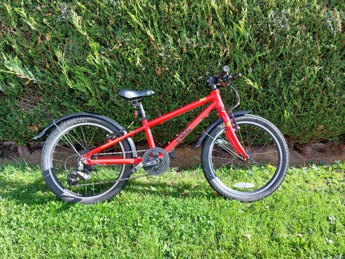 Frog child bike - frog, 20inch