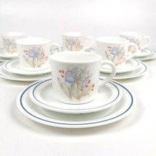 Pyrex Blue Iris Tea Cups Set