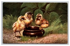 Vintage Artist Signed Baby Birds Postcard
