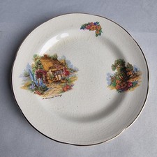Vintage Barratts Staffordshire Homestead Cottage – 9 Piece Dinnerware Set (6...