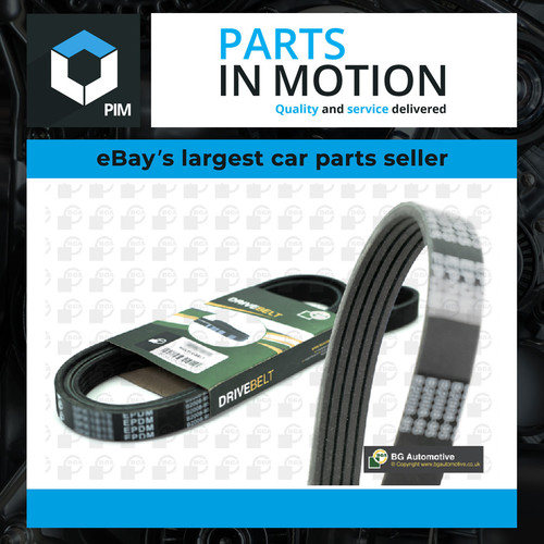 Rib multi drive belt fits - drive,