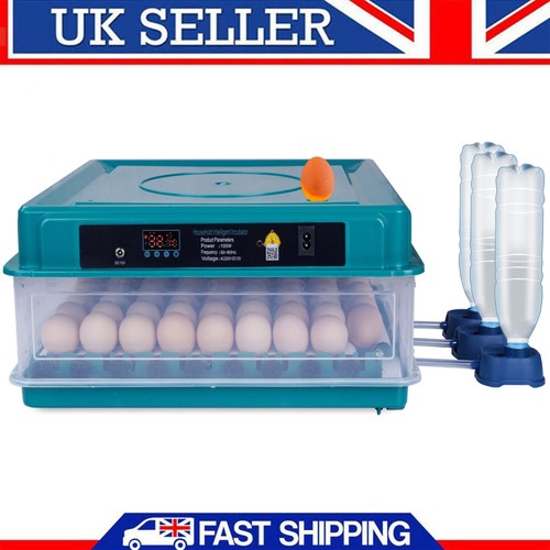 Chicken incubators for - chicken,