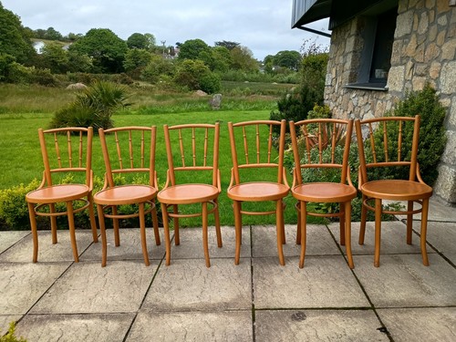Set thonet style - ,