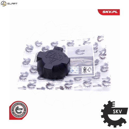 Cap coolant tank 61skv014 for - tank,