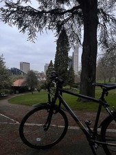 Apollo Hybrid/Road Bike C