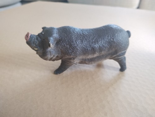 Pot belly pig similar - similar, to