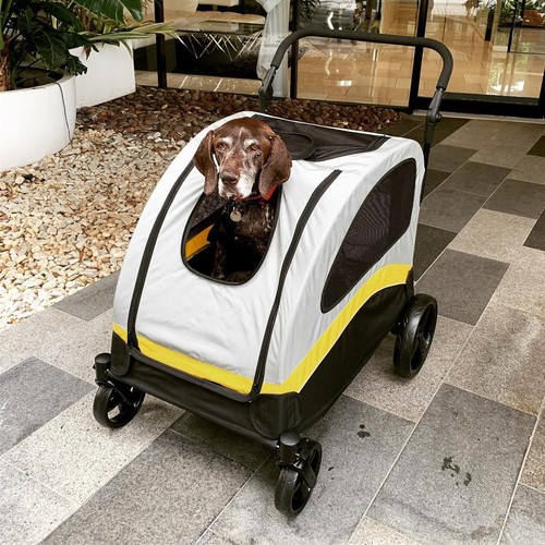 Large dog jogger stroller - jogger,