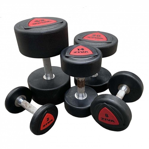 Ziva urethane dumbbells - dumbbells, sold
