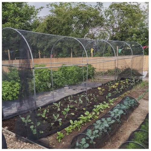 Walk fruit vegetable cage - walk, in