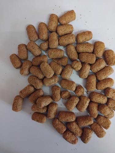 Low starch tortoise diet for - tortoise,