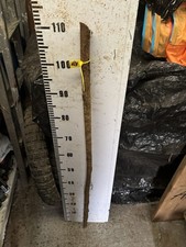 Blackthorn SHANK WALKING STICK