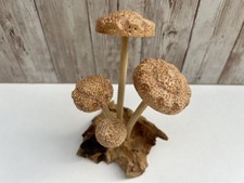 Wooden Shitake Mushroom