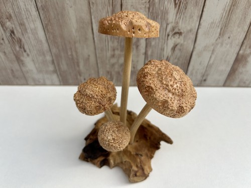 Wooden shitake mushroom - wooden,