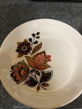 Vintage Biltons Staffordshire