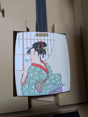Sangenshi kikuoka shamisen - sangenshi,