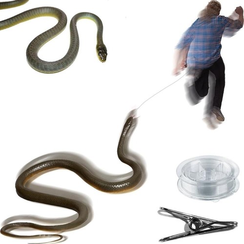 Snake prank with - snake,