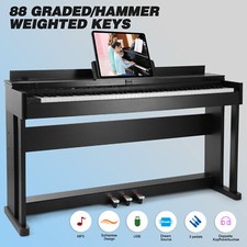 ♬Mustar 88 Graded Hammer