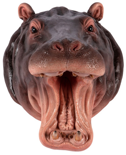 Novelty hippo head - novelty,