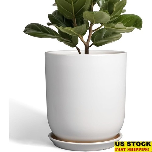 Large ceramic plant pot - large,