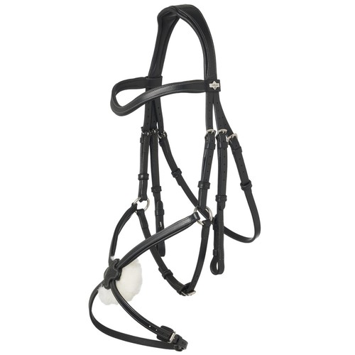 Lemieux arika anatomic - lemieux,