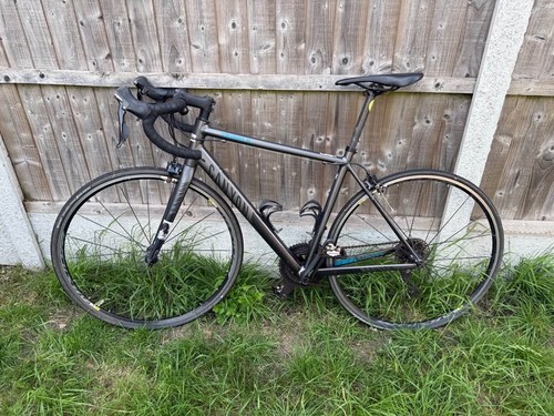 Canyon endurace road bike - road,