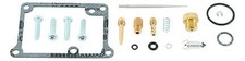 CARBURETOR REBUILD KIT 02-22