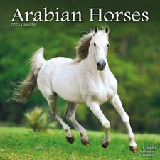 Arabian Horses 2026 Calendar Animal Gift Wall 15% OFF MULTI ORDERS