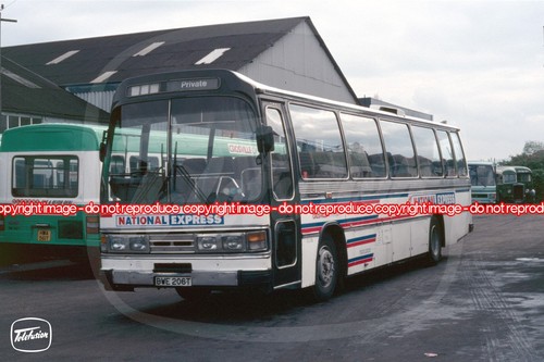 Bus coach photo - photo,