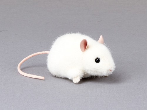Kösen 5561 mouse beep - 5561, "beep"
