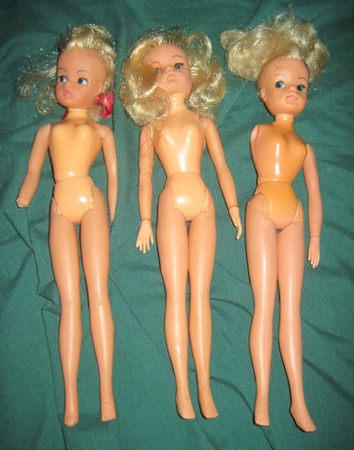 Vintage sindy pedigree - pedigree, doll
