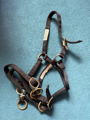 Monty roberts medium - monty,