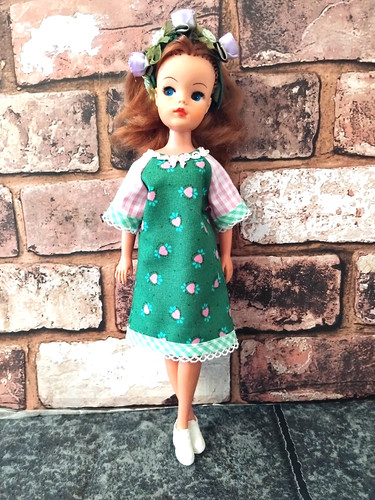 Shift dress for pedigree - shift,