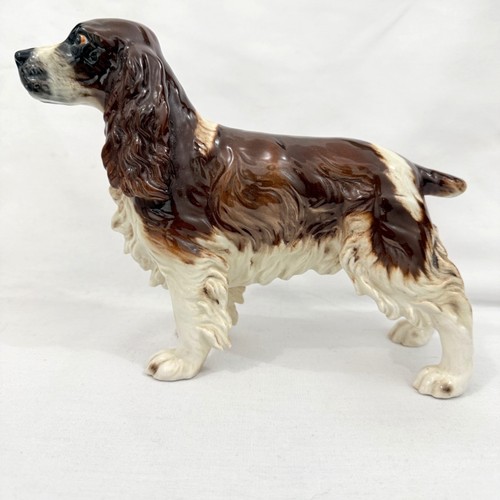 Goebel english springer - english,