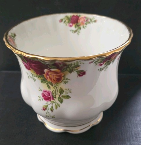Old country rose plant - rose,