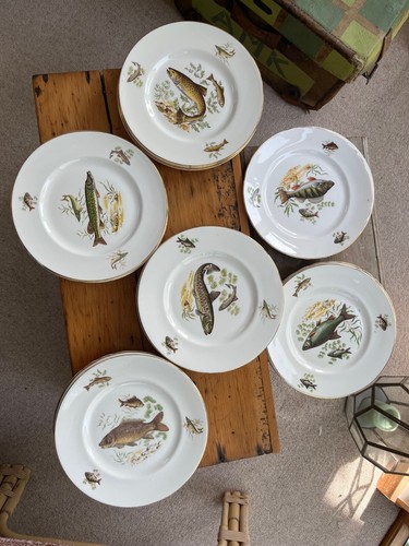 Fish motif dinner plates - ,, 6