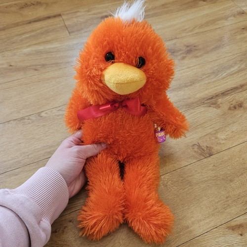 Paws chick bird orange - chick,