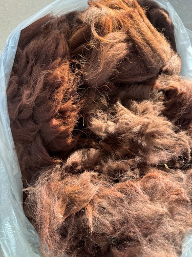 Raw dark brown alpaca fleece - dark,