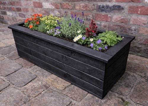 Large rectangular garden - rectangular,