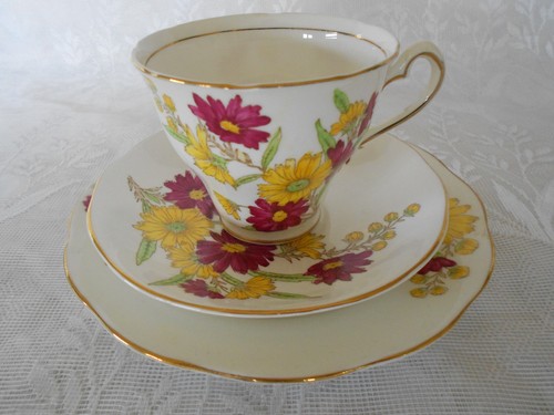 Vintage salisbury aster - salisbury, "aster"